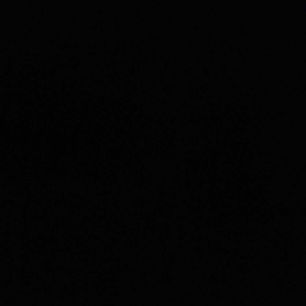 Meet your Posher, Bella